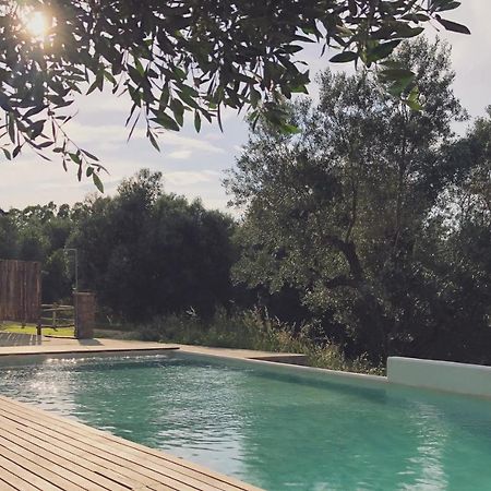 Agriturismo Casette Del Forno Монтальто-ді-Кастро Екстер'єр фото